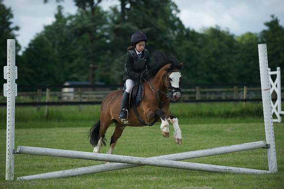 SOHS PC Summer Show at BCA 17th June 2012