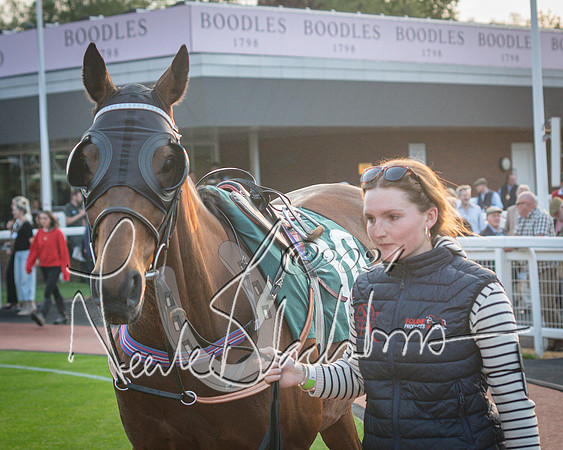Race 6 - The Brooklands watches Golden Miller chronograph open hunter’s steeplechase 4m 97y (16 of 396)