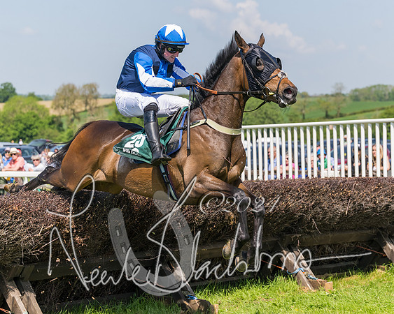Race 2 - The Maiden  (236 of 442)