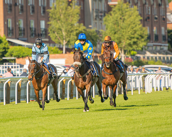 Race 2 - Nimrod Ladies Open (13 of 82)