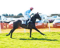 Race 1 - Open Maiden Div 1 (20 of 88).jpg