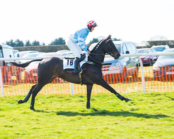 Race 1 - Open Maiden Div 1 (20 of 88).jpg