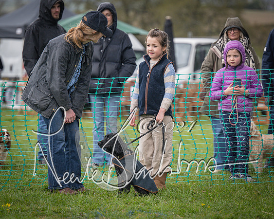 Bicester - Dog Show (5 of 106)
