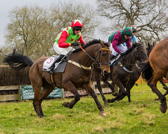 Race 2 - Open Maiden (86 of 128)