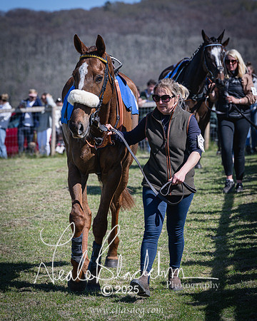 Race 2 - The Maiden (8 of 118)