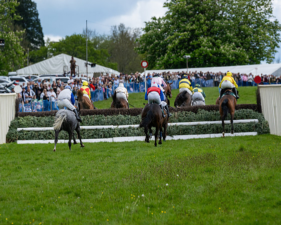 Race 5  - Maiden  (32 of 84)