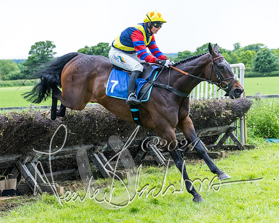 Race 3 - Conditions (239 of 367)