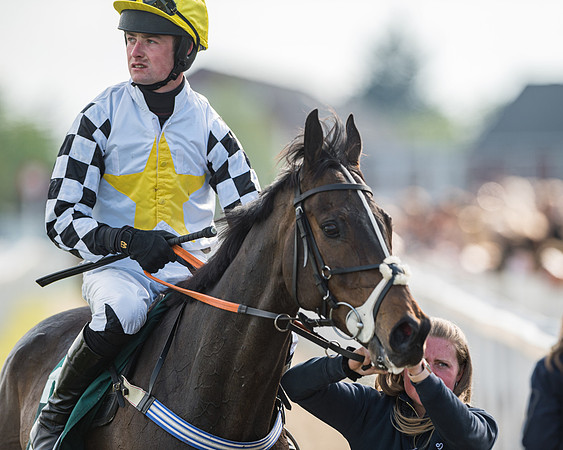 Race 1 - The open Hunter chase  (74 of 95)