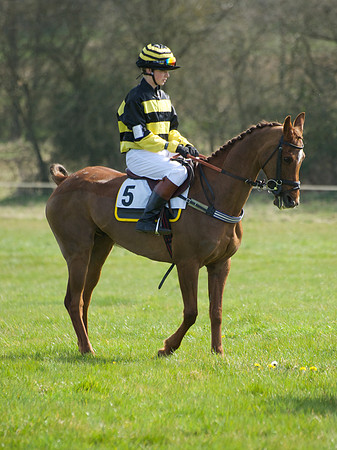 Pony Race 3 -  25