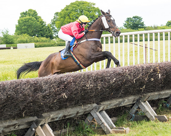 Race 5 - Restricted  (66 of 136)