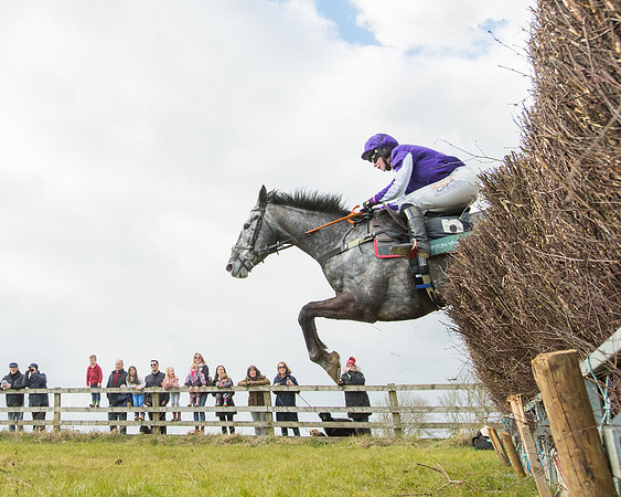 Race 5 - Restricted  (81 of 118)
