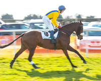 Race 5 - TBA members Mares and Fillies race (7 of 101).jpg