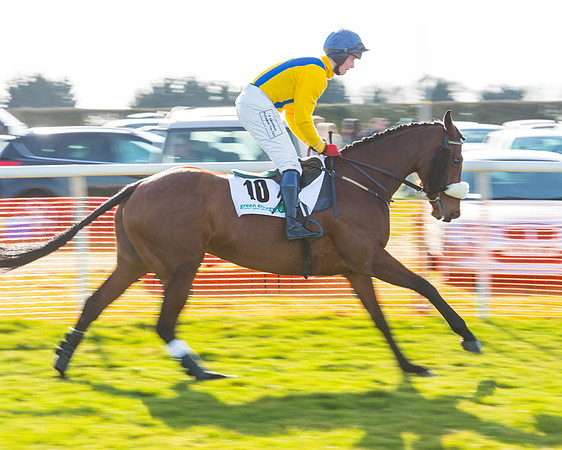 Race 5 - TBA members Mares and Fillies race (7 of 101).jpg