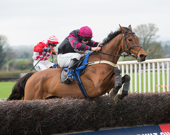 Race 6 - The Restricted Race (130 of 200)
