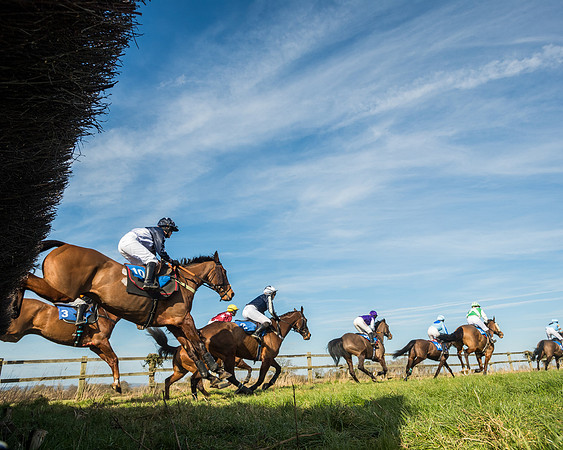 Race 3 - Ladies Open (58 of 156)