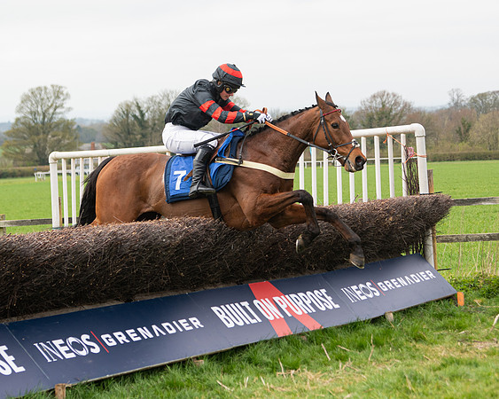 Race 2 - Veteran Horse (108 of 153)