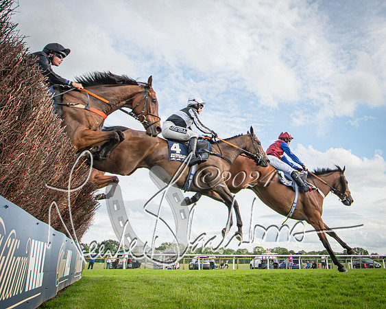 Race 2 - Olly Murphy Racing Stratford Ladies Open (69 of 111)