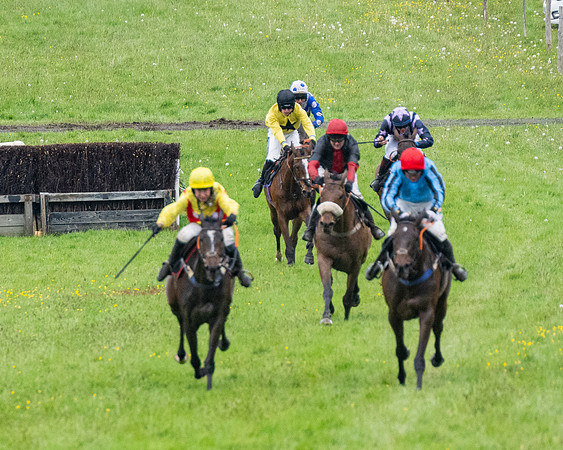 Race 8 - Bumper Div 2 (35 of 84)