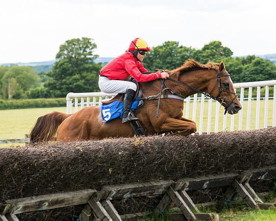 Race 5 - Restricted  (94 of 136)