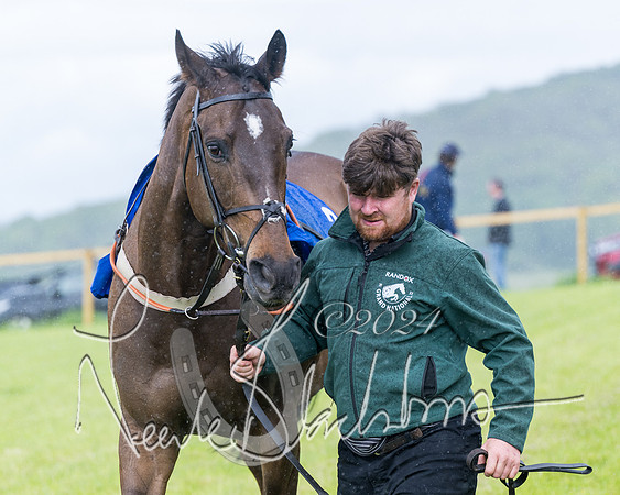 Race 1 - Owner-Trainer Conditions  (31 of 392)