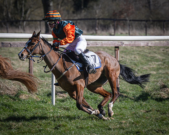 Pony Races (30 of 112)