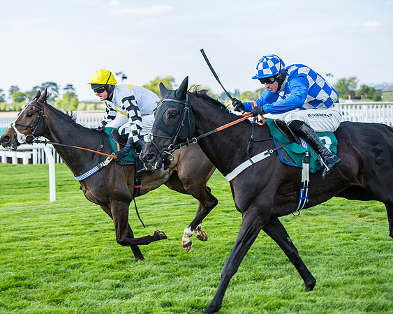 Race 1 - The open Hunter chase  (59 of 95)