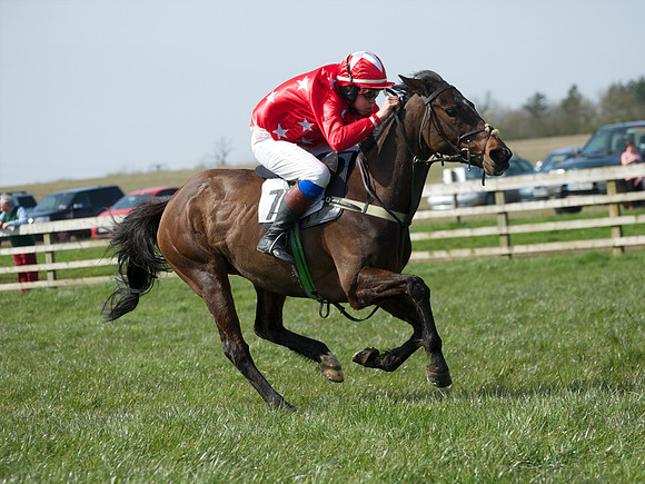 Pony Race 3 -  42