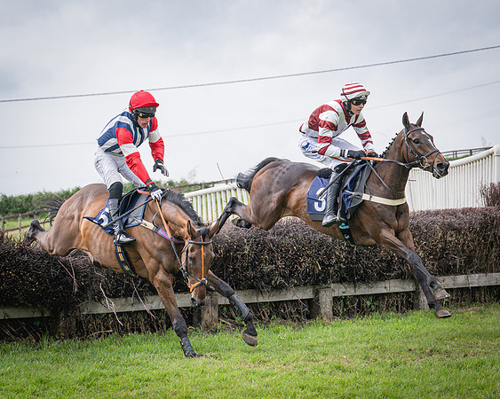 Race 6 - 2M4F Maiden (40 of 85)