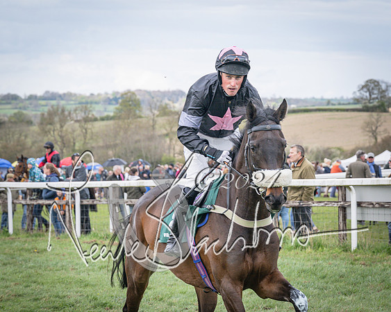 Race 3 - 5 years old and Over Maiden Race (18 of 130)