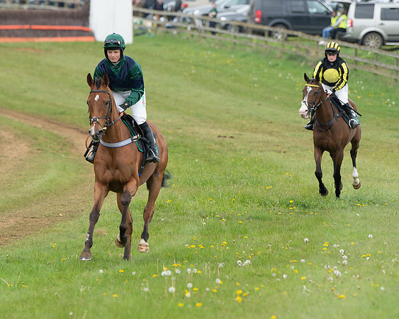 Race 2 - Jockey Club ROR veteran Horse (7 of 104)