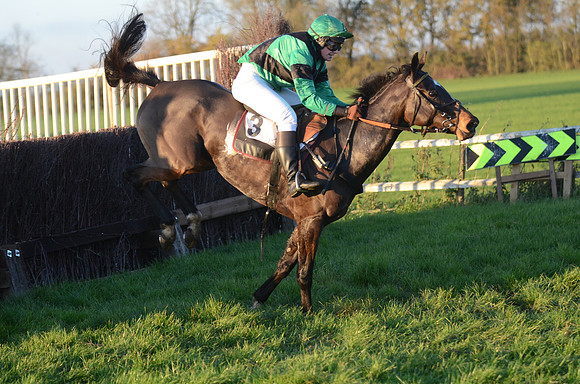 Young Horse Maiden  44