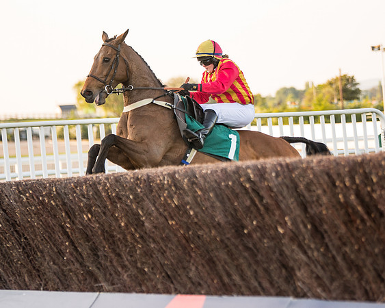 Race 5 - ITM Mares'  (77 of 181)