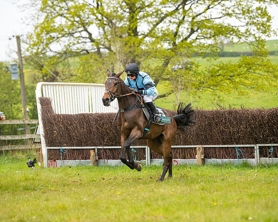 Race 7 - Open Maiden  (54 of 106)