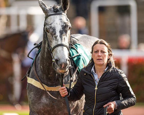 Race 2  -  Intermediate Point to Point Hunters' Steeple Chase (10 of 277)
