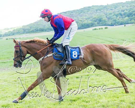 Race 3 - Conditions (103 of 367)
