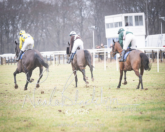 Race 4 - Ladies Open (44 of 66)-Enhanced-NR