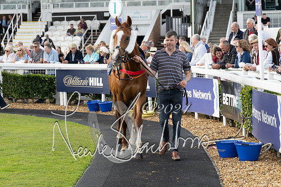Race 3 - The pointtopoint.co.uk champion novices’ Hunter Chase (41 of 140)