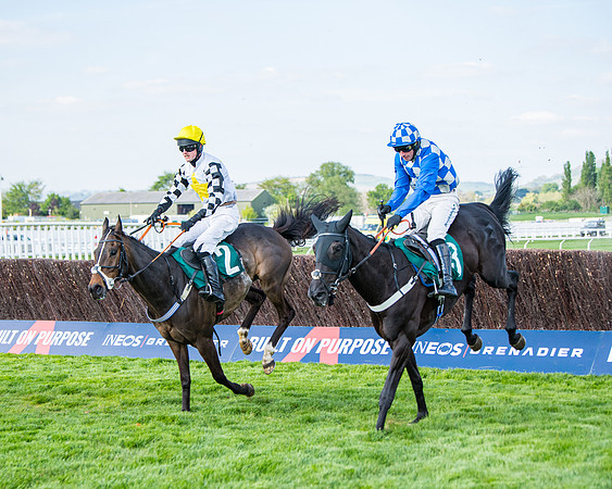 Race 1 - The open Hunter chase  (55 of 95)