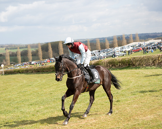 Race 2 - Young Horse Maiden (17 of 104)