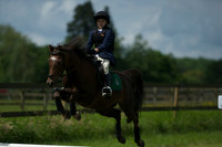 SOHS PC Summer Show at BCA 17th June 2012