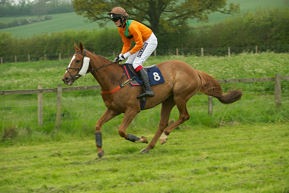 Race 2 - Novices 21