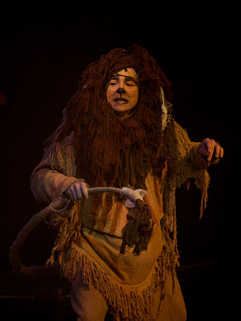 The Wizard of OZ -  155