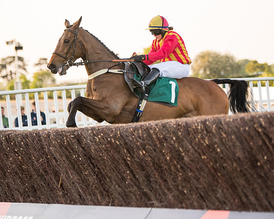 Race 5 - ITM Mares'  (78 of 181)