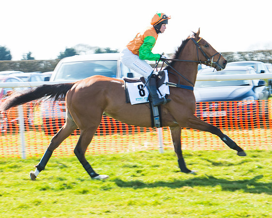 Race 1 - Open Maiden Div 1 (23 of 88).jpg