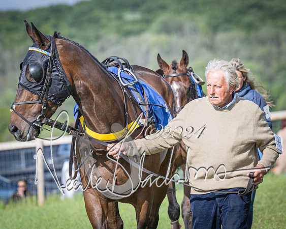 Race 6 - Thorn Plant Hire Maiden Race (11 of 129)