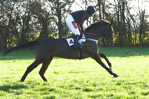 Baileys Mens Open 24
