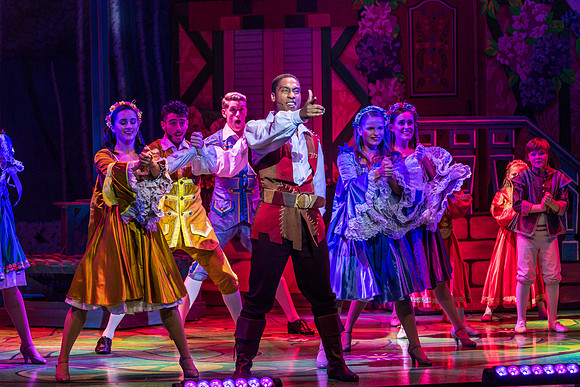 Swan Panto 2017
