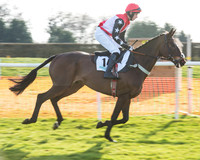 Race 6 - Aga Confined Race (8 of 91).jpg