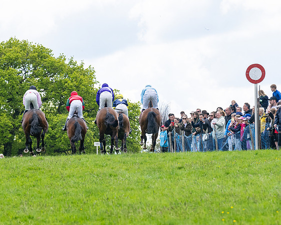 Race 2 - Veteran Horse (24 of 80)
