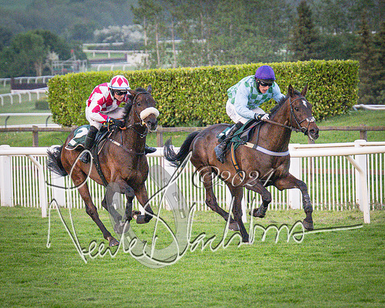 Race - 7 The Royal Gloucester Hussars Open Hunter's steeplechase 2m4f 127y (103 of 210)